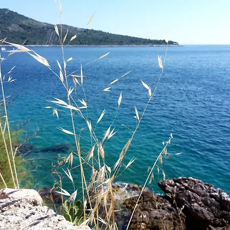 Adiomare Primosten