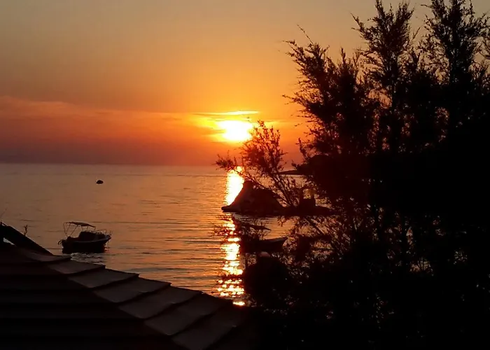 Adiomare * 프리모스턴