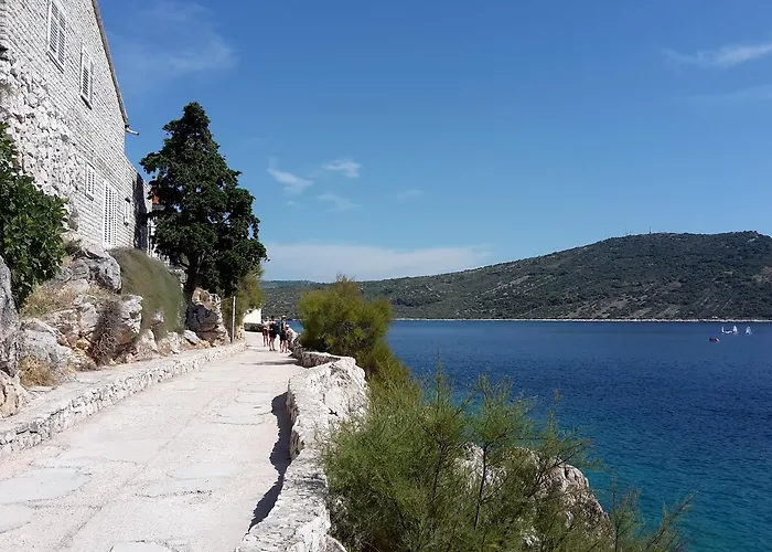 Adiomare * 프리모스턴